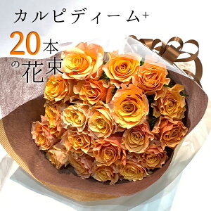 IW o 20{̉ԑ JsfB[+ ̞o KN Mtg  ފ 2025 ԑ v[g yV nEB 5̂   LO a j    