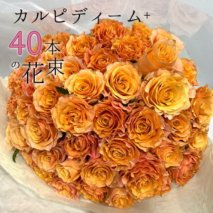 オレンジ バラ 40本の花束 カルピディーム+ ハロウィン ハロウイン 送料無料 銀座の橙バラ 薔薇 ギフト 花 2025 花束 プレゼント 記念日 誕生日 お祝い 珍しい 豪華 生花 お祝 プロポーズ 結婚