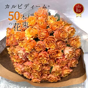 IW o 50{̉ԑ JsfB[+ nEB nEC   yV ̞o KN Mtg  2025 ԑ v[g LO a j    j v