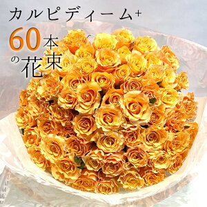 オレンジ バラ 60本の花束 カルピディーム+ ハロウィン ハロウイン 送料無料 送料込み 銀座の橙バラ 薔薇 ギフト 花 2025 花束 プレゼント 記念日 誕生日 お祝い 珍しい 豪華 生花 お祝 プロポ