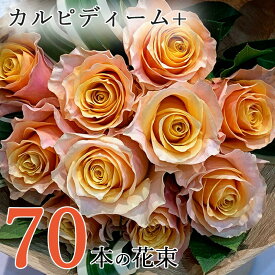 オレンジ バラ 70本の花束 カルピディーム+ 送料無料 送料込み 銀座の橙バラ 薔薇 母の日 父の日 ギフト 花束 プレゼント 記念日 誕生日 お祝い 珍しい 豪華 生花 お祝 プロポーズ 結婚祝い 結婚 退職 長寿 金婚式 カルピデューム