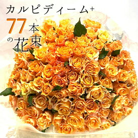 オレンジ バラ 77本の花束 カルピディーム+ 送料無料 送料込み 銀座の橙バラ 薔薇 母の日 父の日 ギフト 花束 プレゼント 記念日 誕生日 お祝い 珍しい 豪華 生花 お祝 プロポーズ 結婚祝い 結婚 退職 長寿 金婚式 カルピデューム