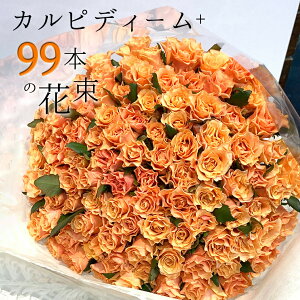 IW o 99{̉ԑ JsfB[+ nEB nEC   yV ̞o KN Mtg  2025 ԑ v[g LO a j    j v