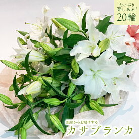 カサブランカ 花束 5本 20輪以上 あす楽13時まで 花 2025 生花 白ユリの女王 銀座のカサブランカ 大輪白ユリ ほぼ蕾でお届け 即日出荷対応 土日も出荷 お届け日指定 配送 花 クリスマス 送料無料 誕生日 プレゼント ギフト 父 お祝い 贈り物