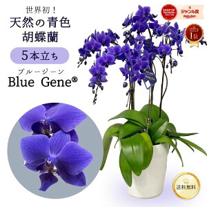 y EIVR̐F Ӓ zu[W[ Blue Gene 1{ 3{ 5{  t@mvVX NX}X  ݌ɂ 2025  j  R`E m  Ê  JX J@ J