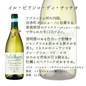 yԂƃCz ܂ AWg  Iׂ郏C Zbg t[AWg S  20cm x  20cm NX}X    u[P 2025 ԑ C^A UbJj[j  