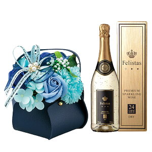 _ԂƃC̃Zbg^  Xp[NOC tFX^X  \[vt[ U[oXPbg felistas h  750ml ԐFI 5F y13܂ NX}X  2025 LO