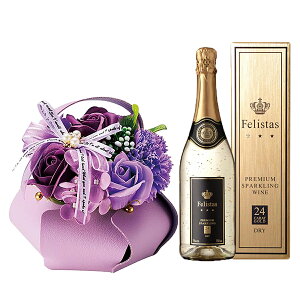 _ԂƃC̃Zbg^  Xp[NOC tFX^X  \[vt[ U[oXPbg felistas h  750ml ԐFI 5F y13܂ NX}X  2025 LO