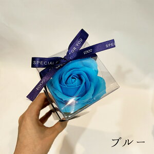 yP[u[Pz \[vt[  Iׂ ԐF a7cm 40cm y13܂  V{t[ oXtOX  C 1 Ό ΂̉  ԑ u[P  v