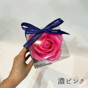 yP[u[Pz \[vt[  Iׂ ԐF a7cm 40cm y13܂  V{t[ oXtOX  C 1 Ό ΂̉  ԑ u[P  v