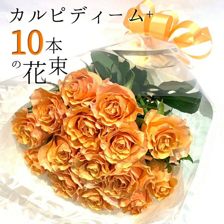 楽天市場】オレンジバラ10本の花束 長持ち 品種 カルピディーム+ 0の 