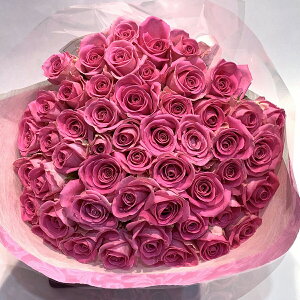 y10OFFz o40{̉ԑ FIׂ bh CG[ sN KN G߂̉ԑ NX}X X[p[Z[   yV yo v[g  2025  j LO Mtg