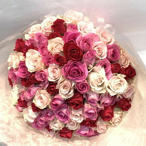 yJCCOf[VԑIz o50{̉ԑ FIׂ ԉ N[ւŐVNɂ͂  F  sN yo v[g ԑ  2025  LO Mtg v|[Y Tv