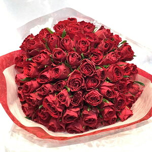 o60{̉ԑ FIׂ bh CG[ sN KN G߂̉ԑ nEB nEC NX}X   yV yo v[g  2025  j LO Mtg 