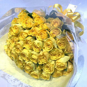 yJCCOf[VԑIz o50{̉ԑ FIׂ ԉ N[ւŐVNɂ͂  F  sN yo v[g ԑ  2025  LO Mtg v|[Y Tv