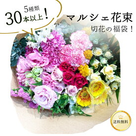 季節のお花を5種類 30本以上 花丈 草丈 45cm 葉もの グリーンを添えて マルシェ花束 あす楽13時まで バレンタイン ホワイトデー 送料無料 送料込み 楽天 花 2026 1月 花束 生花 ブーケ ナチュラル 誕生日 記念日 プレゼント ギフト ロスレス 自宅用 お供え 生け花 お稽古