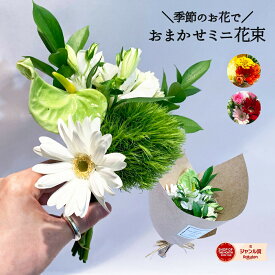 ＼ちょうどいい◎ぽっきりミニブーケ／ おまかせ 2000円のミニブーケ 季節のお花 花束 ブーケ 小さめ 選べるカラー ギフト 自宅用 フラワー ギフト プレゼント おしゃれ ナチュラル グリーン ピンク 赤 ホワイト 黄 オレンジ プチ 友人 先輩 同僚 歓迎 送別 発表会 お礼 お得