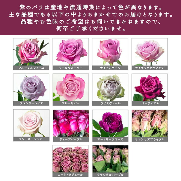 楽天市場】紫バラ60本の花束 生花 紫のバラ ムラサキバラ 東京銀座 