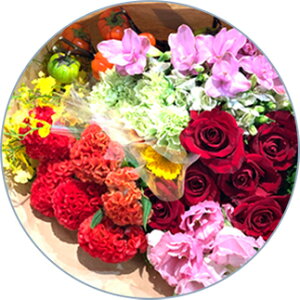 yG߂̂Ԃ܂Łz NIeB }VFԑ Ԃ̕ 5 15{ȏ O[t y13܂ nEB nEC  XX i`  ԑ 2025 10 