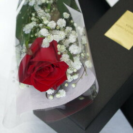 赤いバラ 花束 ブラックボックス 入り かすみ草 カスミソウ または グリーン 葉物 アレンジ レッドローズ 赤薔薇 赤い薔薇 赤いバラの花束 送料無料 母の日 父の日 プレゼント ギフト プロポーズ 誕生日 記念日 贈り物