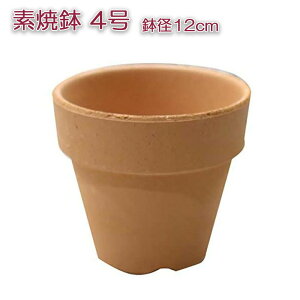 Aؔ  fĂ 4 a12cm 12cm   uE F CeA Ap̐Aؔ |bg Aւ yV nEB nEC NX}X  2025 Mtg v[g