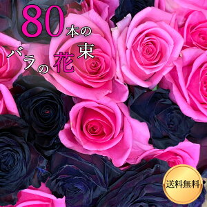 ubN Ah sN o 80{ nEB  ԑ KN v[g j LO Mtg v|[Y a ސE  2025 yԁz j        }