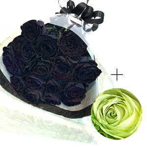 yVbNȉԑMtgzubNIׂJ[̃oԑ  30{ 40{ 50{ 60{ a LO j ԑ ߃o o o ubN[Y  v|[Y 