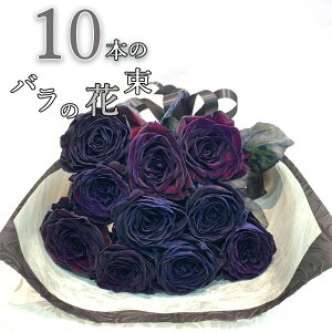  o 10{̉ԑ ubN[Y NX}X X[p[Z[  KN   2025 ԑ v[g Ԍt uïv j LO Mtg ō җ v|[Y a ސE y