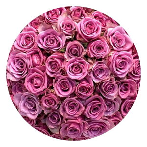 ̂ubN{bNX o ԑ Iׂ ݑ ܂ O[ NX}X X[p[Z[  yo KN  2025   v|[Y v[g Mtg a