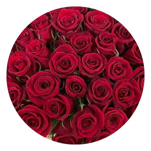 ̂ubN{bNX o ԑ Iׂ ݑ ܂ O[ NX}X _tf[  yo KN  2025   v|[Y v[g Mtg a