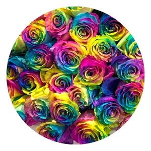 1{育 ̃o  sN  IW   2025 ԑ  KN ΂ v[g Mtg nEB nEC  yV 3980~ȏő N[㍞ y13܂ 