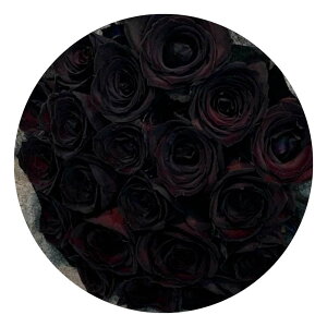 1{育 ̃o  sN  IW   2025 ԑ  KN ΂ v[g Mtg nEB nEC  yV 3980~ȏő N[㍞ y13܂ 