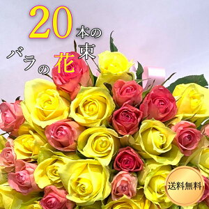 sN Ah CG[ o 20{ ԑ o o f悭~bNX܂ nEB nEC }\   2025 v[g j LO Mtg v|[Y 