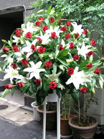 赤と白のスタンド花！(一段) 送料無料 お祝い 開店 御祝 お祝 上場祝 花 就任祝