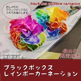 楽天市場 虹色 花 花 ガーデン Diy の通販