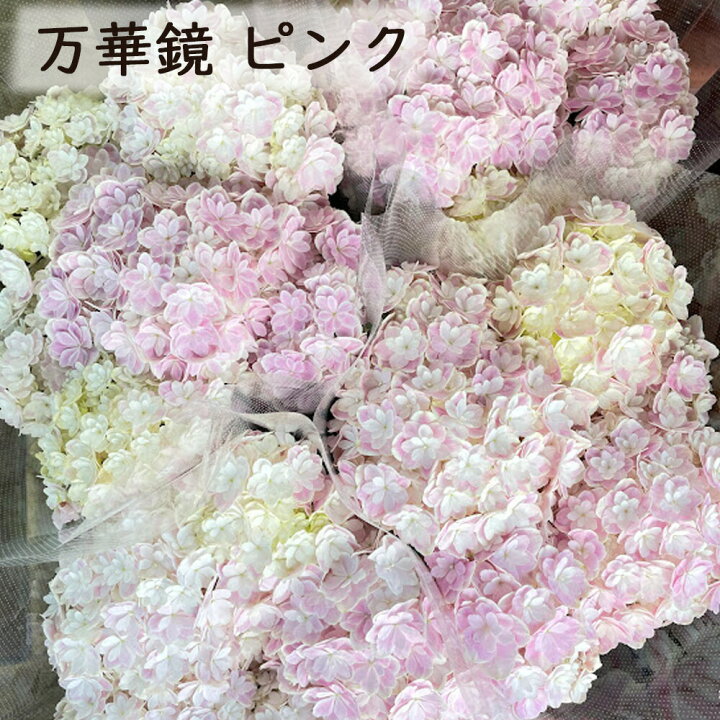 切り花の福袋 季節のお花を5種類以上 グリーンを添えて 本数15 切り花の福袋 季節のお花を5種類以上 グリーンを添えて 本数15