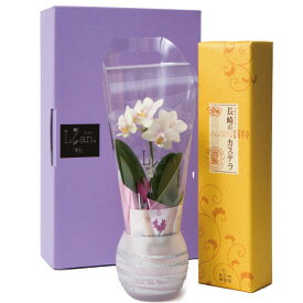 楽天市場 ギフト 1000円 花 ガーデン Diy の通販