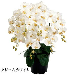造花 胡蝶蘭の人気商品 通販 価格比較 価格 Com 造花 胡蝶蘭の人気商品 通販 価格比較 価格 Com