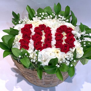 _ԂŐ`^ io[ AWg   AW Iׂ   15cm a 20cm NX}X  LO v[g Mtg j  a t[P[L 