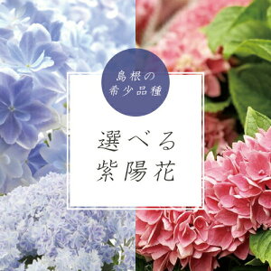 生花 アジサイ あじさい 農業資材 ガーデニング用品の人気商品 通販 価格比較 価格 Com