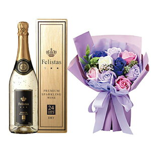 ԂƃC Zbg  Xp[NOC  \[vt[  ԑ u[P felistas h  tFX^X 750ml  X^hL[gV{ 9 y13܂ yo NX