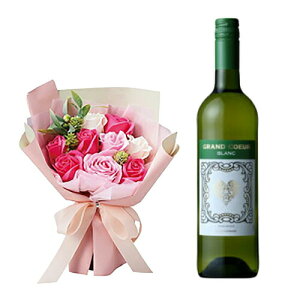 C  Zbg Iׂ n[gx   A  \[vt[ ԑ u[P X^hL[gV{ 9 NX}X   yV y13܂ Mtg v[g 2025 