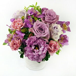 AWgt[ LL  50cm  35cm  u[P ԑ 2025     v[g Mtg 摜M NX}X ubNtCf[  s j  oY