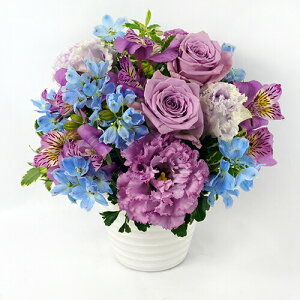 AWgt[ LL  50cm  35cm  u[P ԑ 2025     v[g Mtg 摜M NX}X  s j  oY ސE a җ 