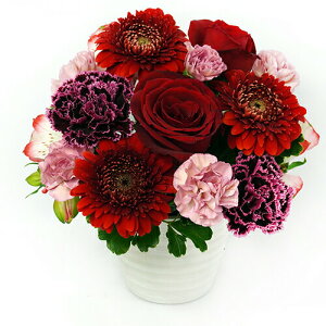 AWgt[ L  35cm  30cm  u[P ԑ ܂ t[AWg ~  2025  d   v[g Mtg nEB nEC  