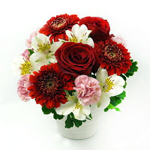 AWgt[ L  35cm  30cm  u[P ԑ ܂ t[AWg ~  2025  d   v[g Mtg nEB nEC  