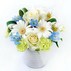 AWgt[ L  35cm  30cm  u[P ԑ ܂ t[AWg ~  2025  d   v[g Mtg NX}X  zs 