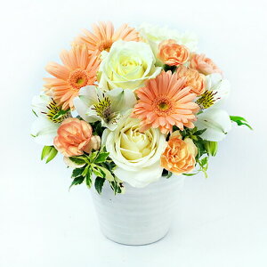 AWgt[ L  35cm  30cm  u[P ԑ ܂ t[AWg ~  2025  d   v[g Mtg NX}X }\ 