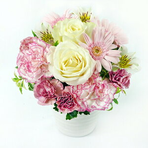 AWgt[ LL  50cm  35cm  u[P ԑ 2025     v[g Mtg 摜M nEB nEC NX}X  s j  