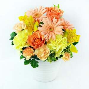 AWgt[ M  25cm  25cm  u[P ԑ ܂ AWg  2025 x_[ v[g Mtg 摜M NX}X   yV y13